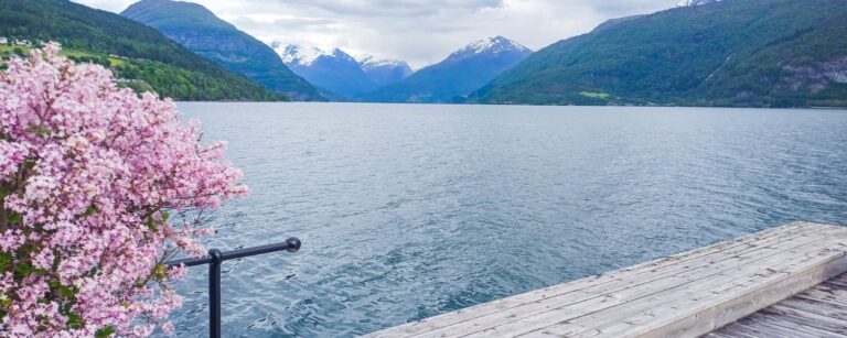 Vanlife-edition: Når kontoret får hjul og fjelltopper som utsikt.