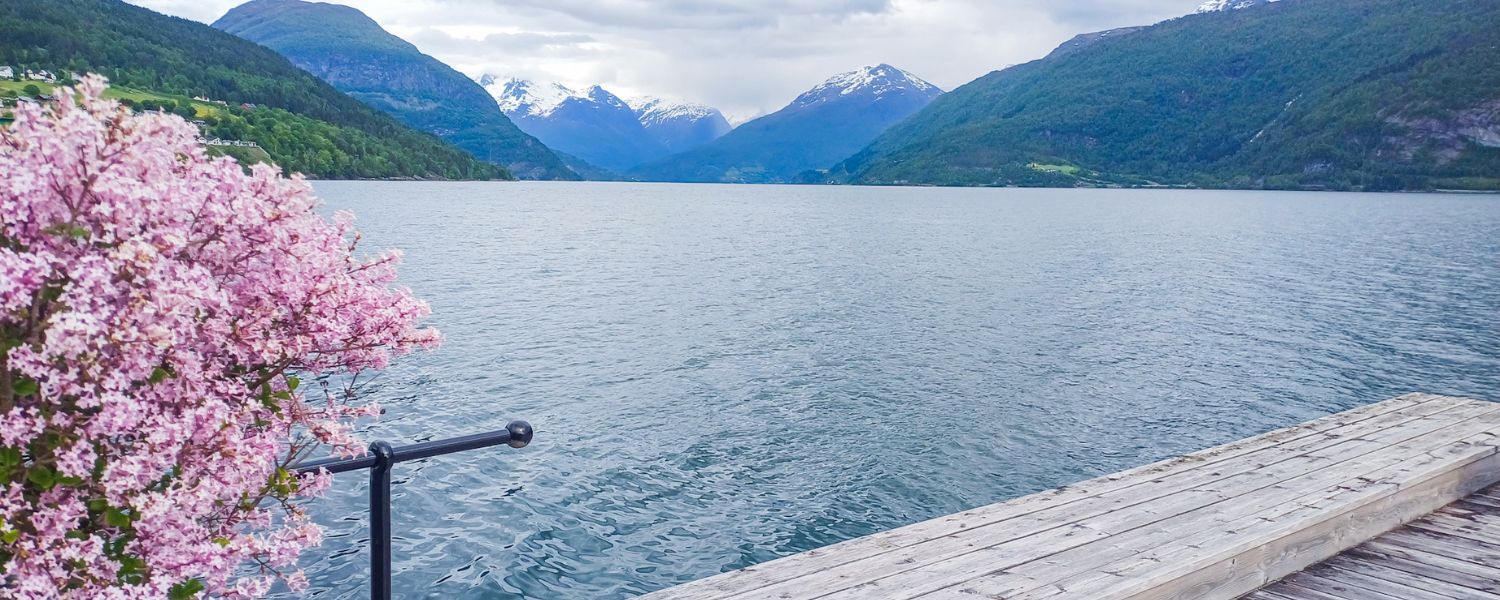 Vanlife-edition: Når kontoret får hjul og fjelltopper som utsikt.
